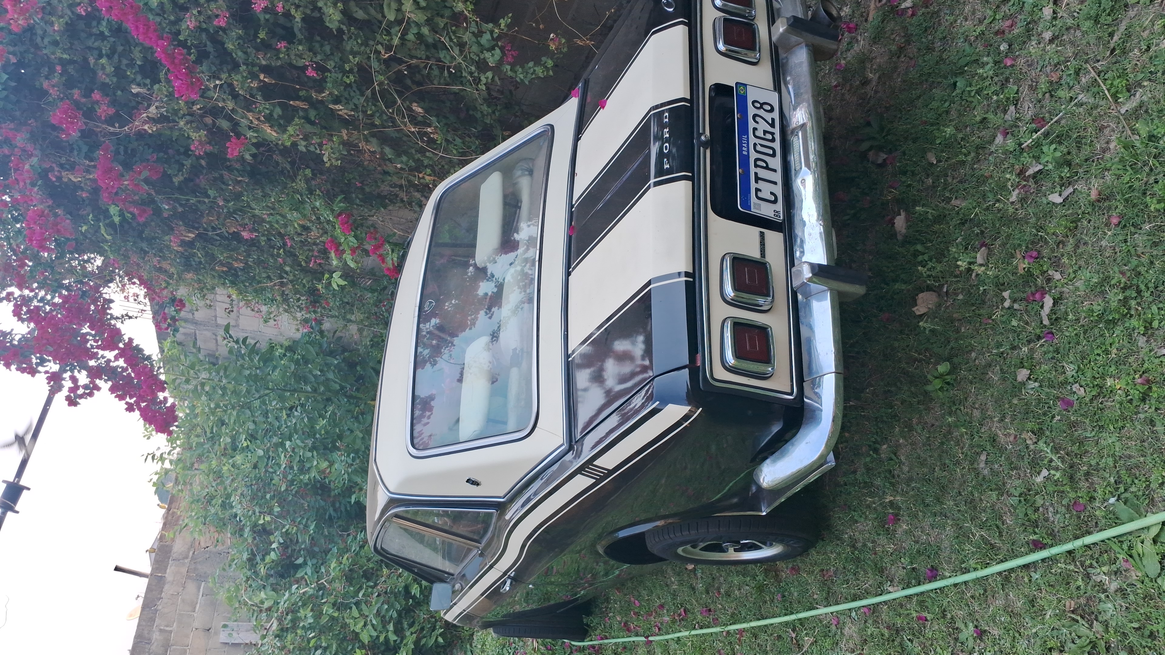 Corcel - Miniatura 3